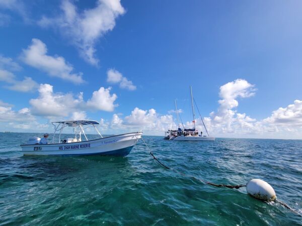 Holchan Marine Reserve Day Pass