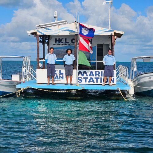 Holchan Marine Reserve Day Pass