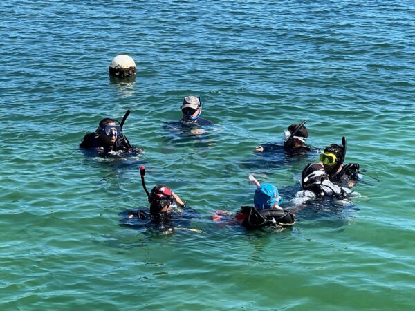 Holchan Marine Reserve Day Pass