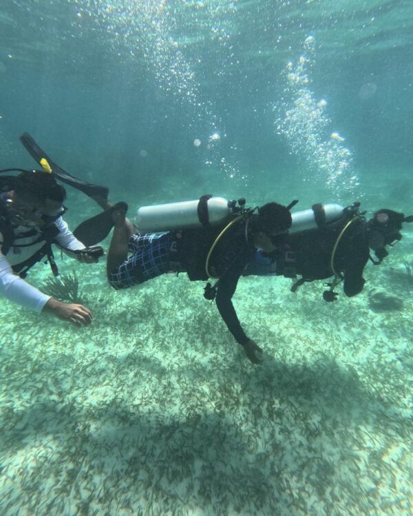 Holchan Marine Reserve Day Pass