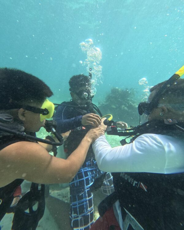 Holchan Marine Reserve Day Pass