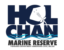 Holchan Marine Reserve | Management Center for Holchan, sharkray alley & Mexico Rocks Belize.